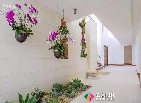 入户花园设计,进入眼睑的风景