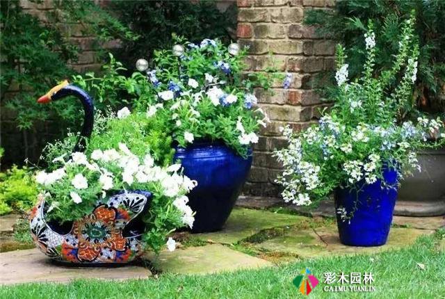 花园设计技巧,让你的花园焕然一新