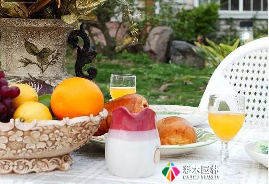 花园设计技巧,让你的花园焕然一新
