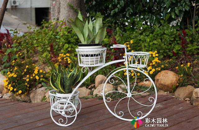 花园设计技巧,让你的花园焕然一新
