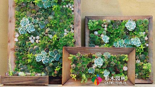 创意花架,美爆你的别墅私家花园