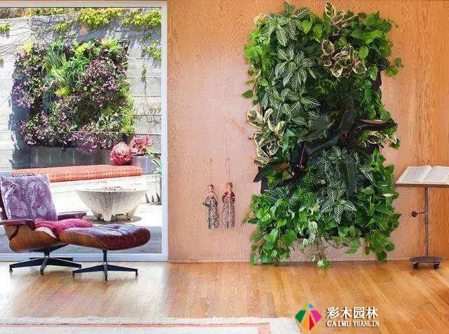 创意花架,美爆你的别墅私家花园