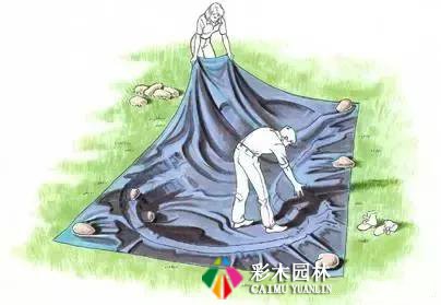 私家庭院设计,自然式水池