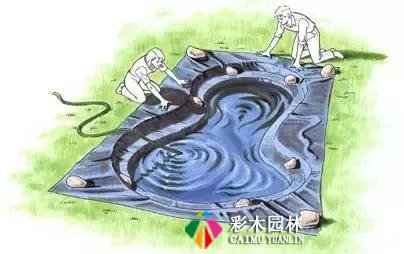 私家庭院设计,自然式水池