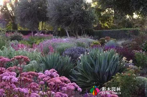 别墅私家花园设计的灵魂,植物配置空间的秘密