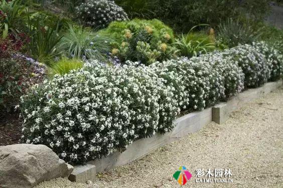别墅私家花园设计技巧,植物配置的色彩