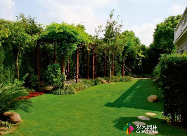 私家花园最实用的驱蚊法,夏天不受蚊的困扰!