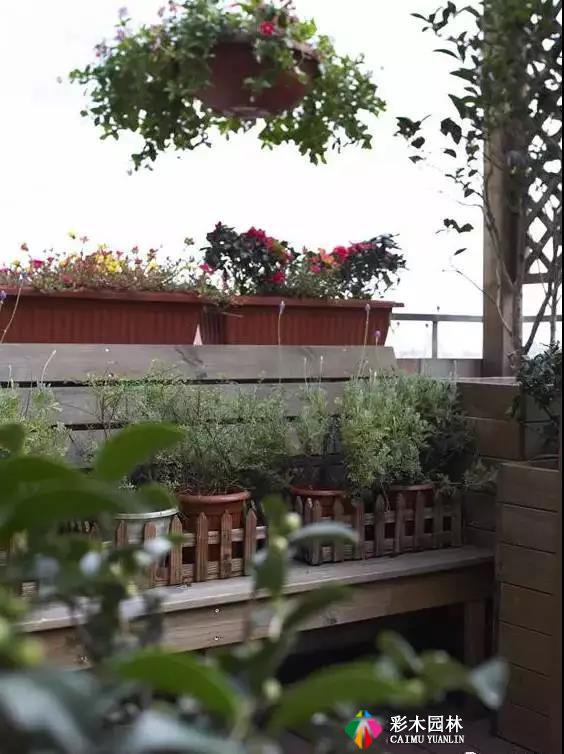 露台花园设计,你想要的的都在这