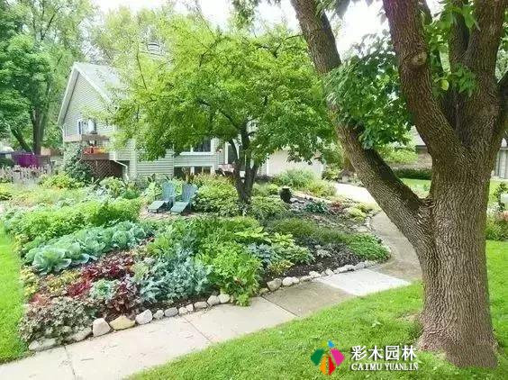 菜地花园设计,实用又美观!