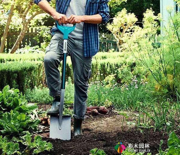 花园设计详解,教你如何打造花园