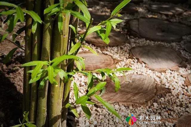 私家庭院设计,景观小品让你庭院超有情调!