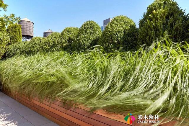 哪款屋顶花园设计,是你喜爱的