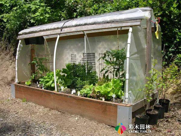 庭院花园,花床设计,别出心裁