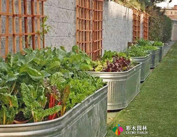 庭院花园,花床设计,别出心裁