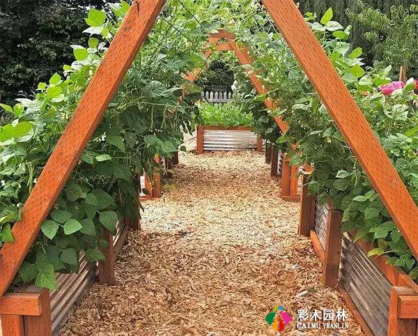 庭院花园,花床设计,别出心裁