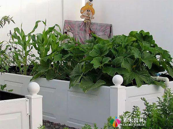 庭院花园,花床设计,别出心裁