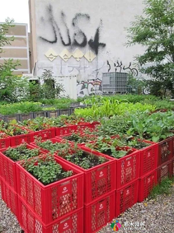 庭院花园,花床设计,别出心裁