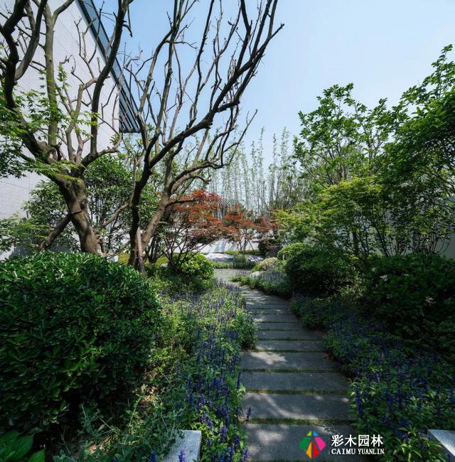 中式庭院设计,风雅高贵
